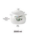 Casserole Ceramic Pot Clay pot 2.5L