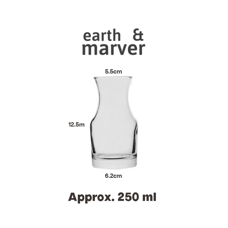 Carafe Glass / Decanter Glass 250ml / Wine Decanter
